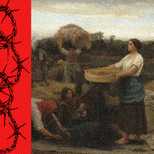 A pittance compared—to what is reaped.